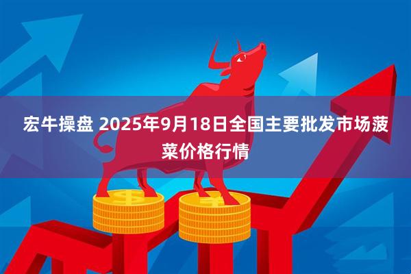 宏牛操盘 2025年9月18日全国主要批发市场菠菜价格行情