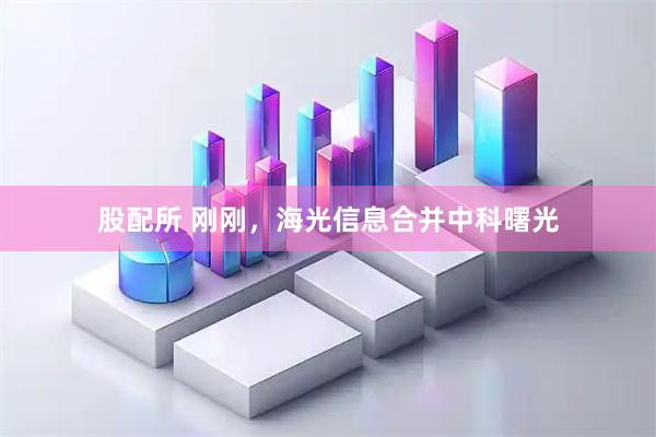 股配所 刚刚，海光信息合并中科曙光