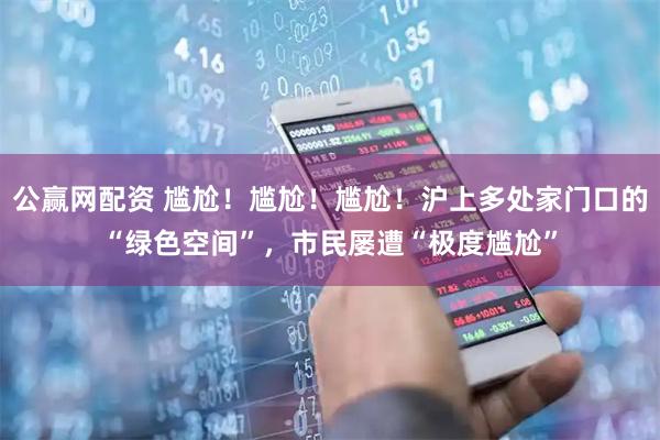 公赢网配资 尴尬！尴尬！尴尬！沪上多处家门口的“绿色空间”，市民屡遭“极度尴尬”